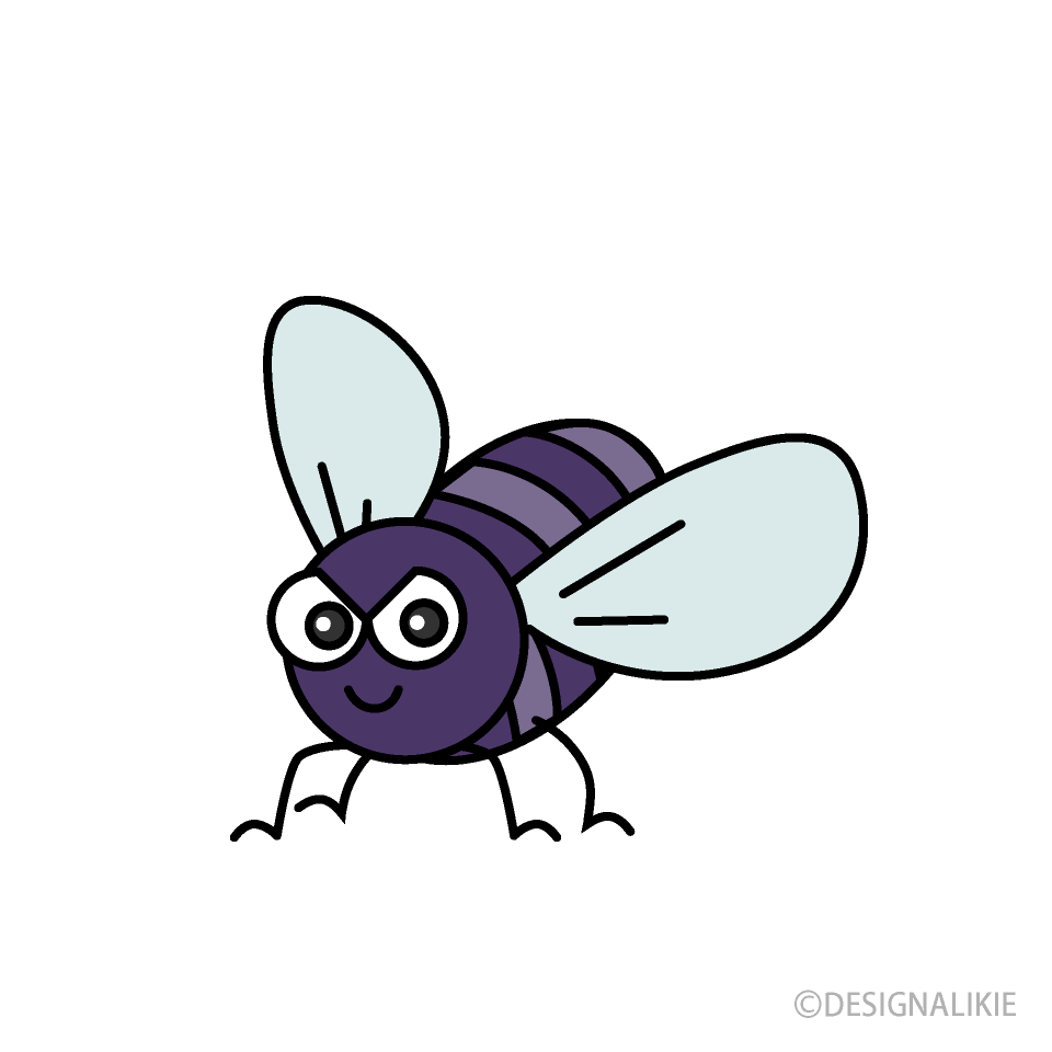 Cute Fly