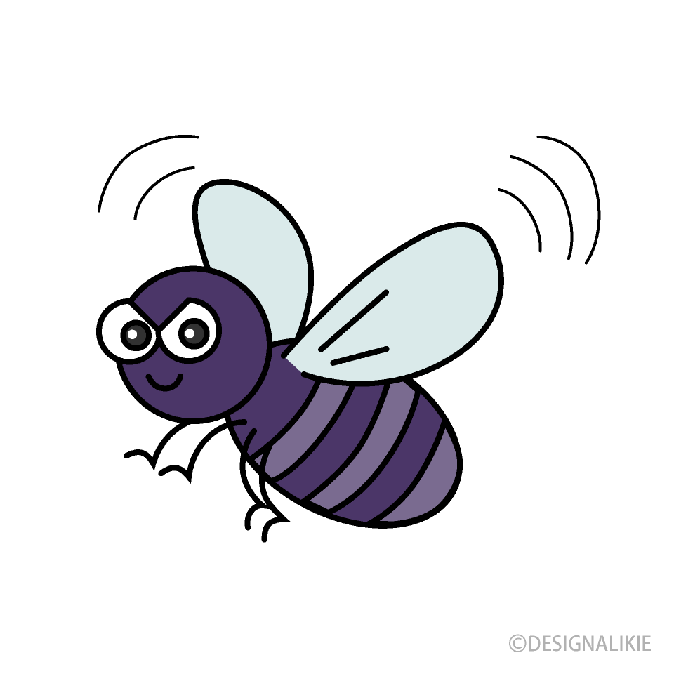 Cute Flying Fly