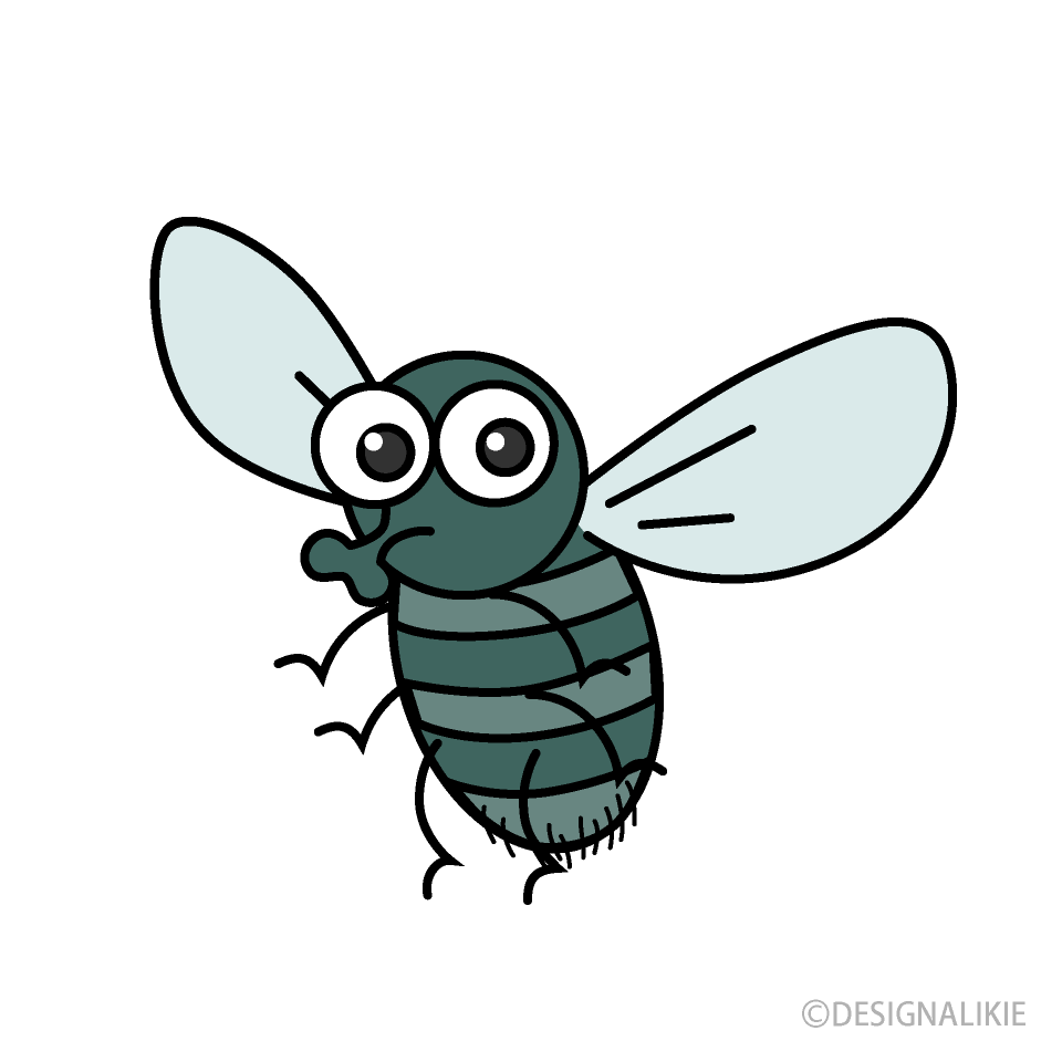 Mosquito
