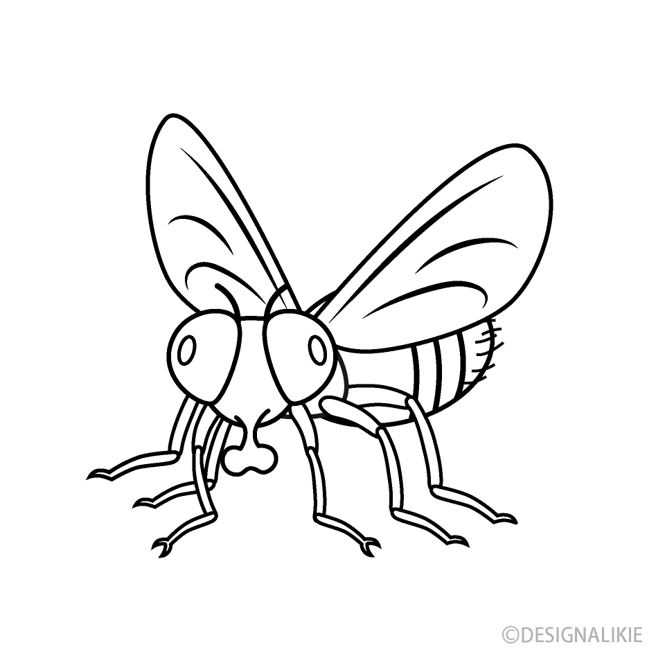 Mosquito Volando
