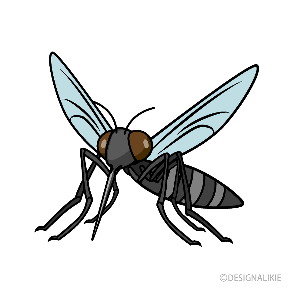 Mosquito