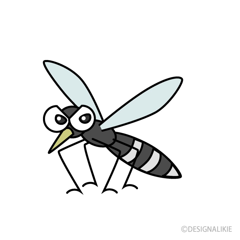 Mosquito