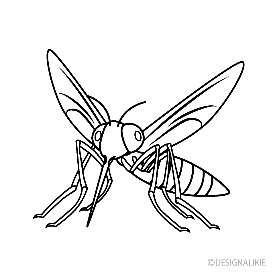 Mosquito