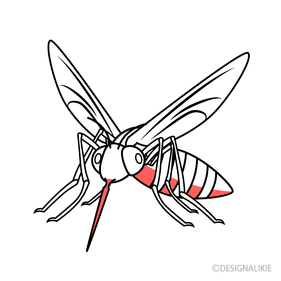 Sucking Mosquito