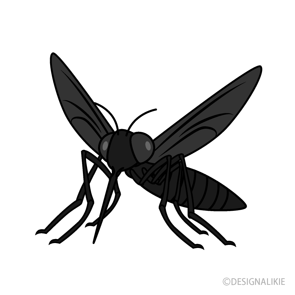 Mosquito