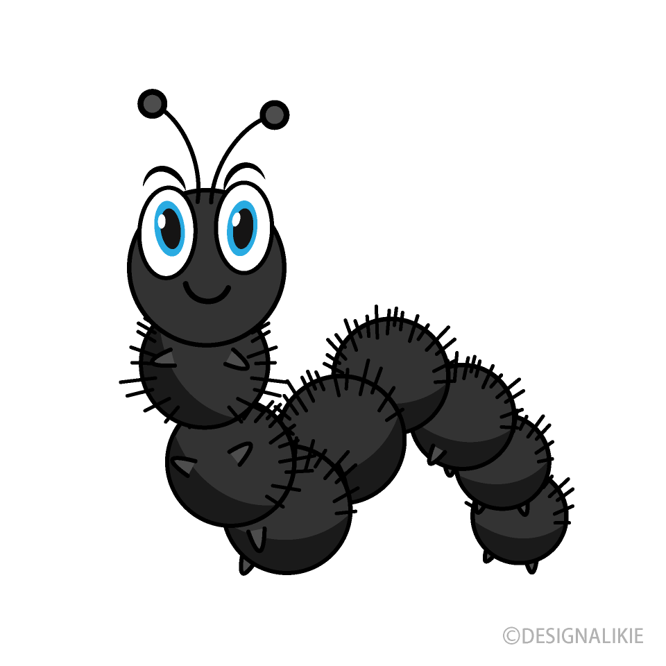 Gusano Peludo Negro
