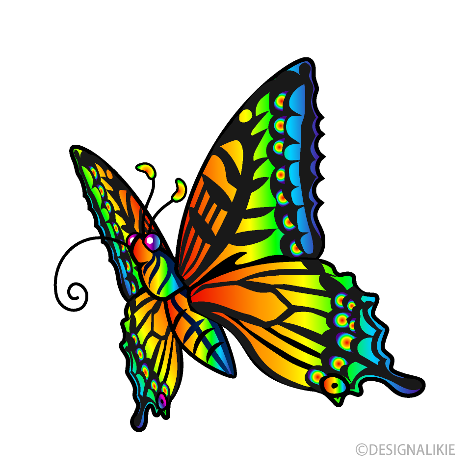 Sucking Rainbow Butterfly