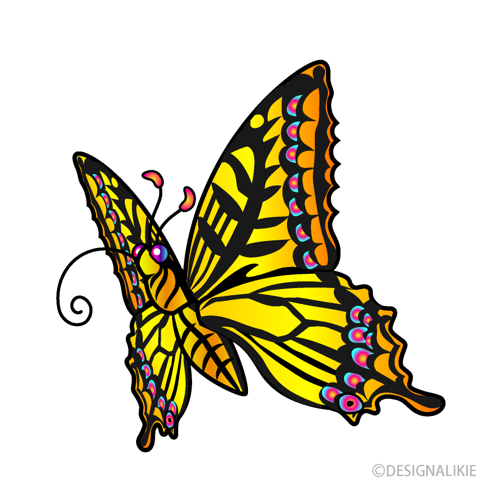 Sucking Yellow Butterfly