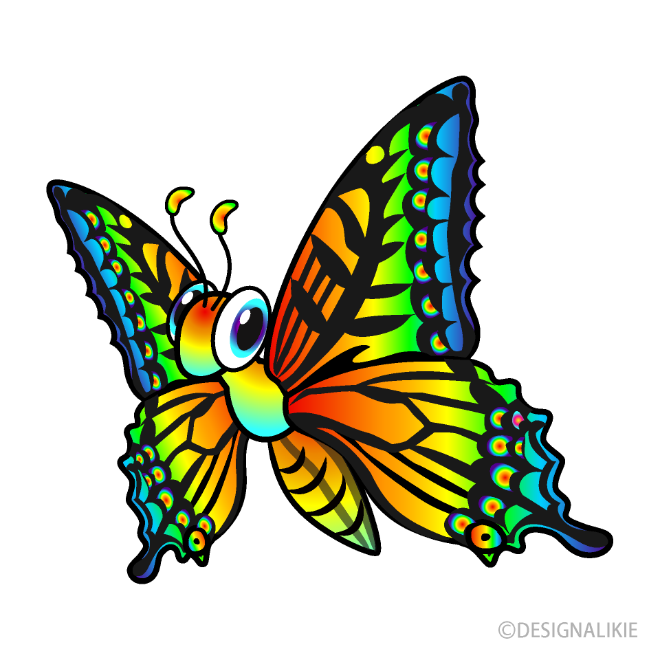 Mariposa Arco Iris Voladora