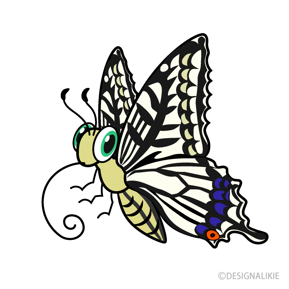 Swallowtail Butterfly