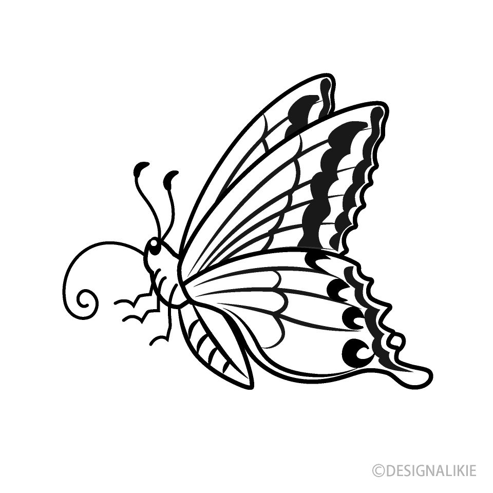 Mariposa Vista Lateral
