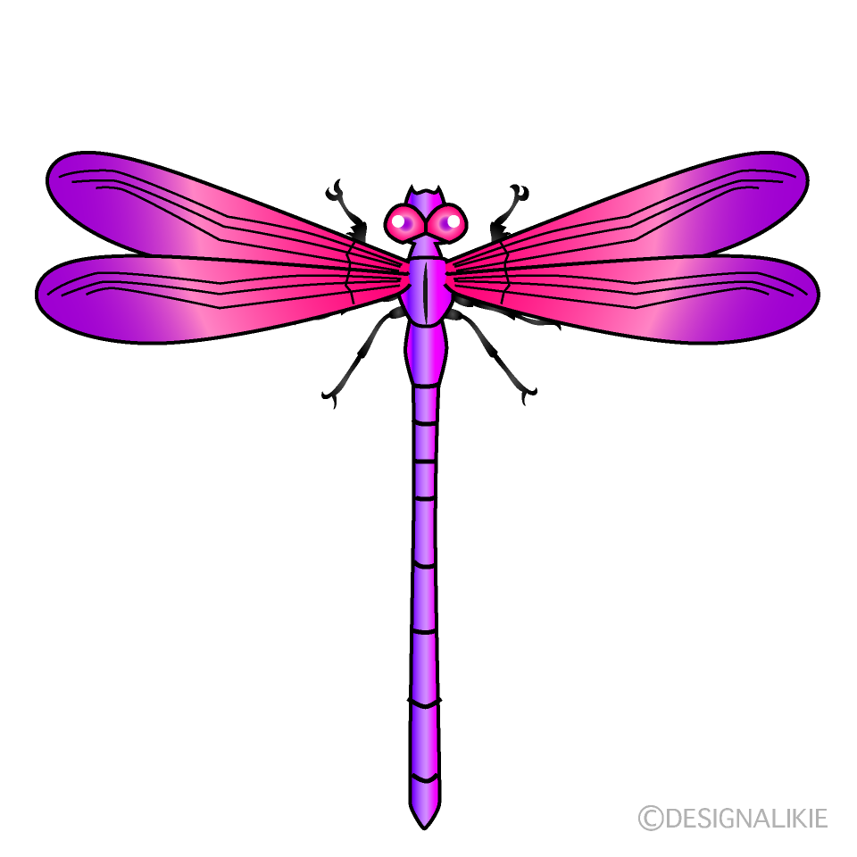 Pink and Purple Dragonfly