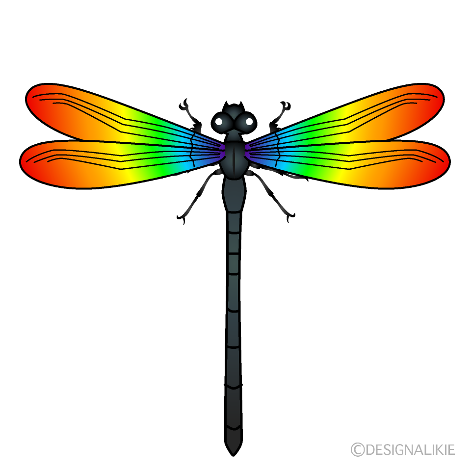  Rainbow Dragonfly