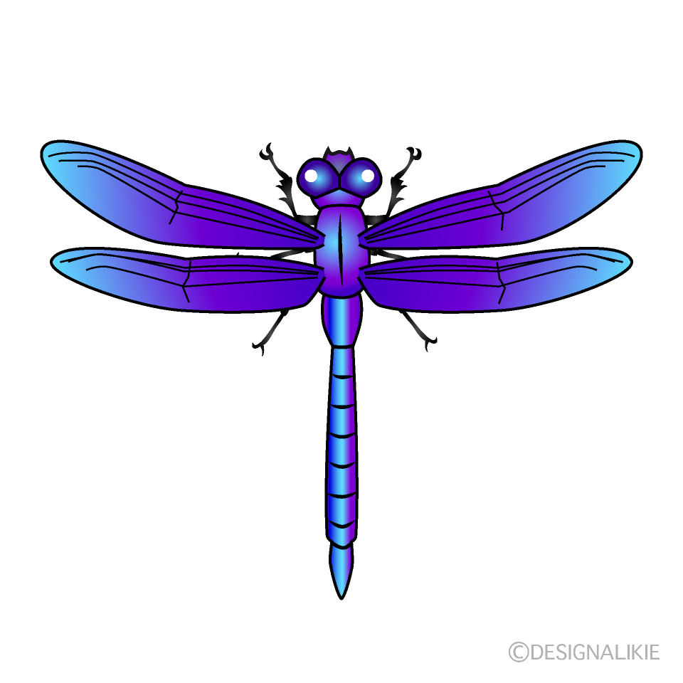 Libélula Azul y Morada