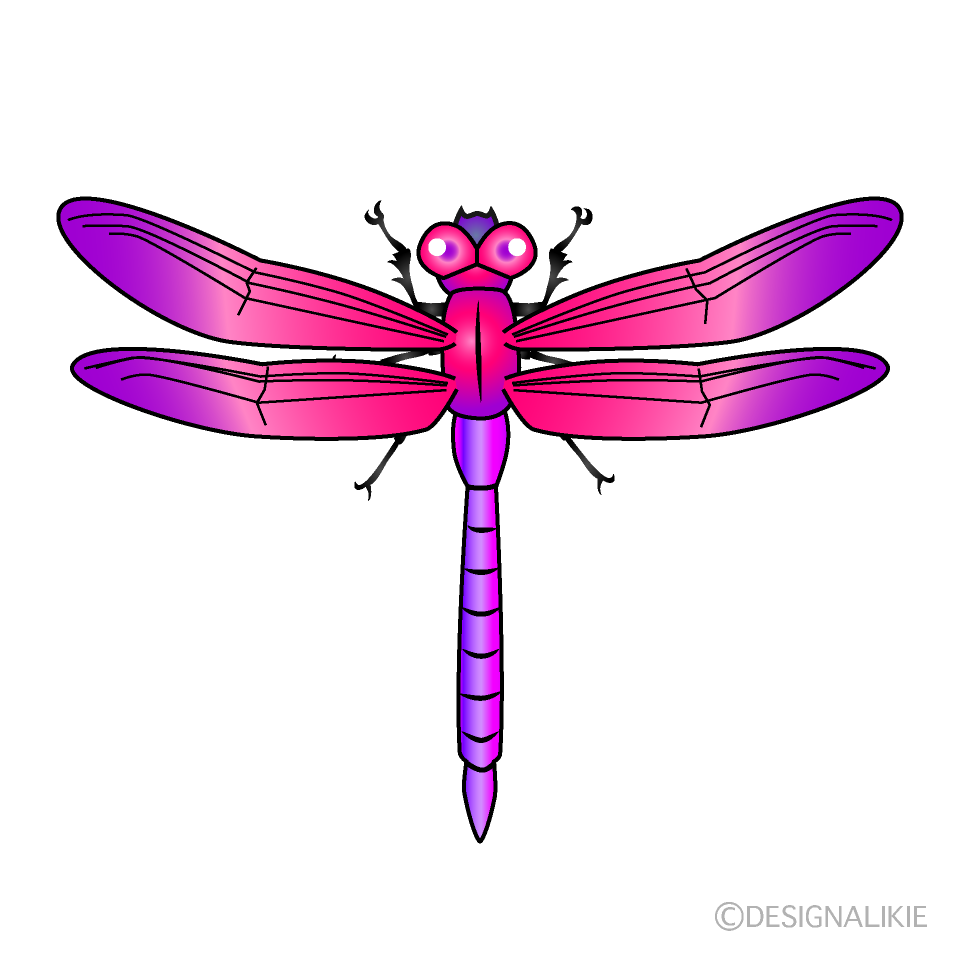 Pink and Purple Dragonfly