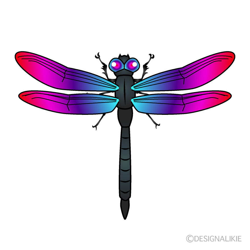 Libélula Azul y Rosa