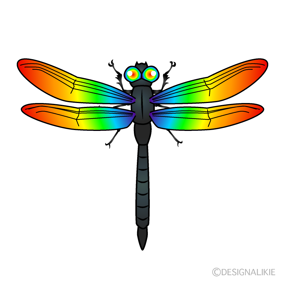 Rainbow Dragonfly