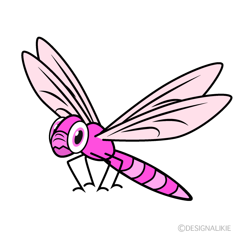 Pink Dragonfly