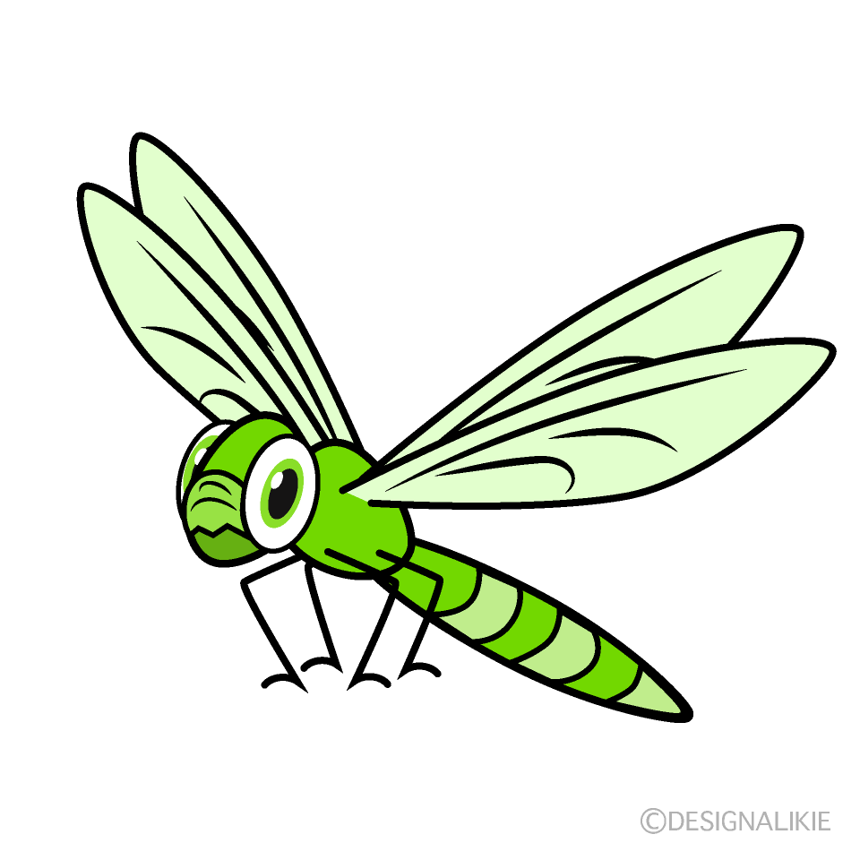 Yellow Green Dragonfly