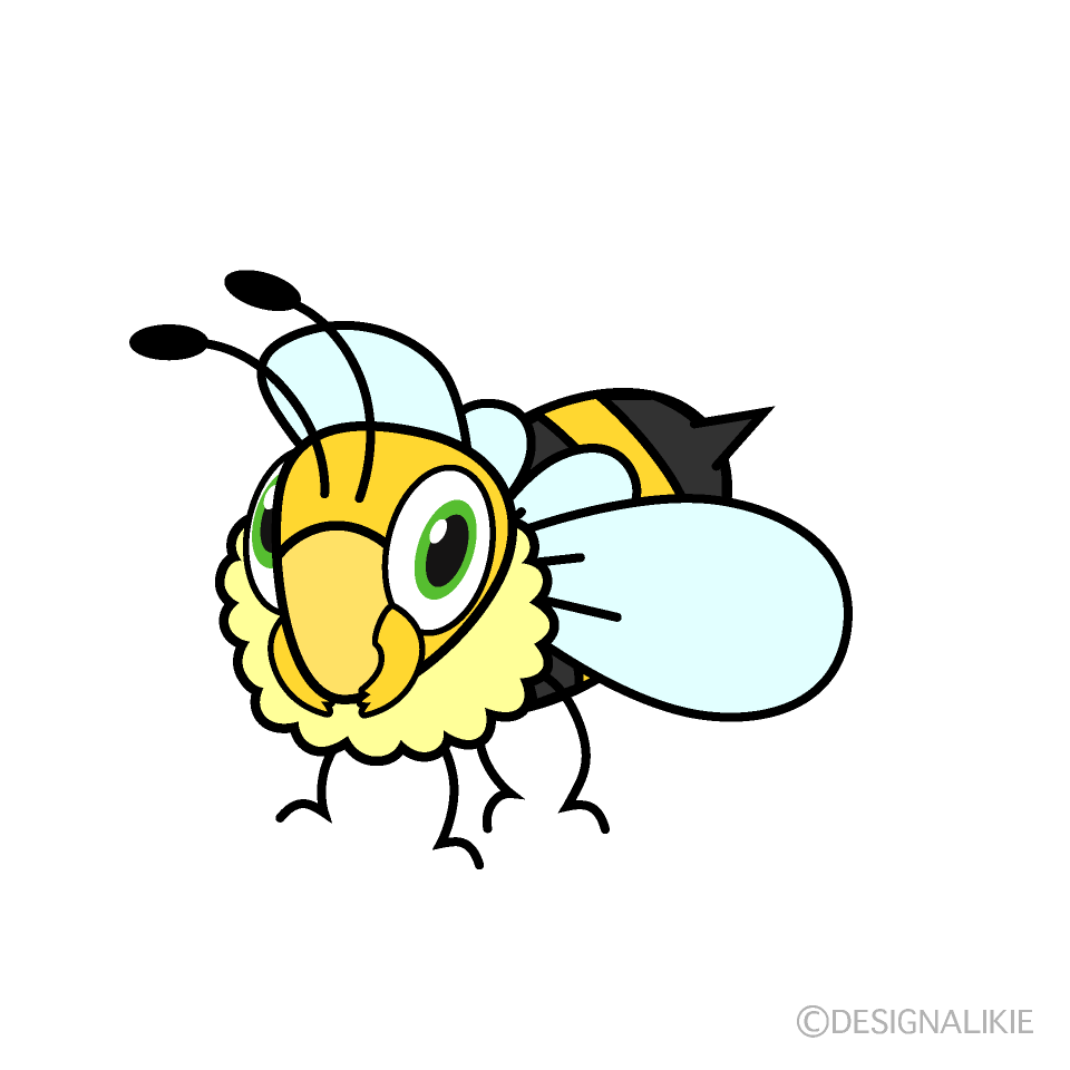 Bee