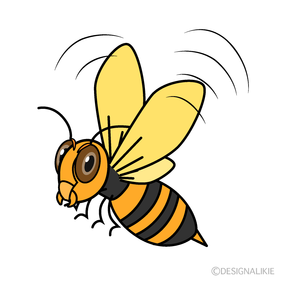 Flying Wasp