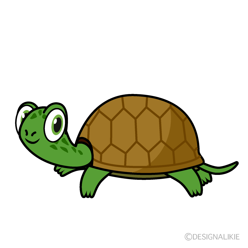 Green Turtle