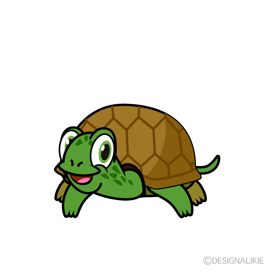 Smiling Green Turtle