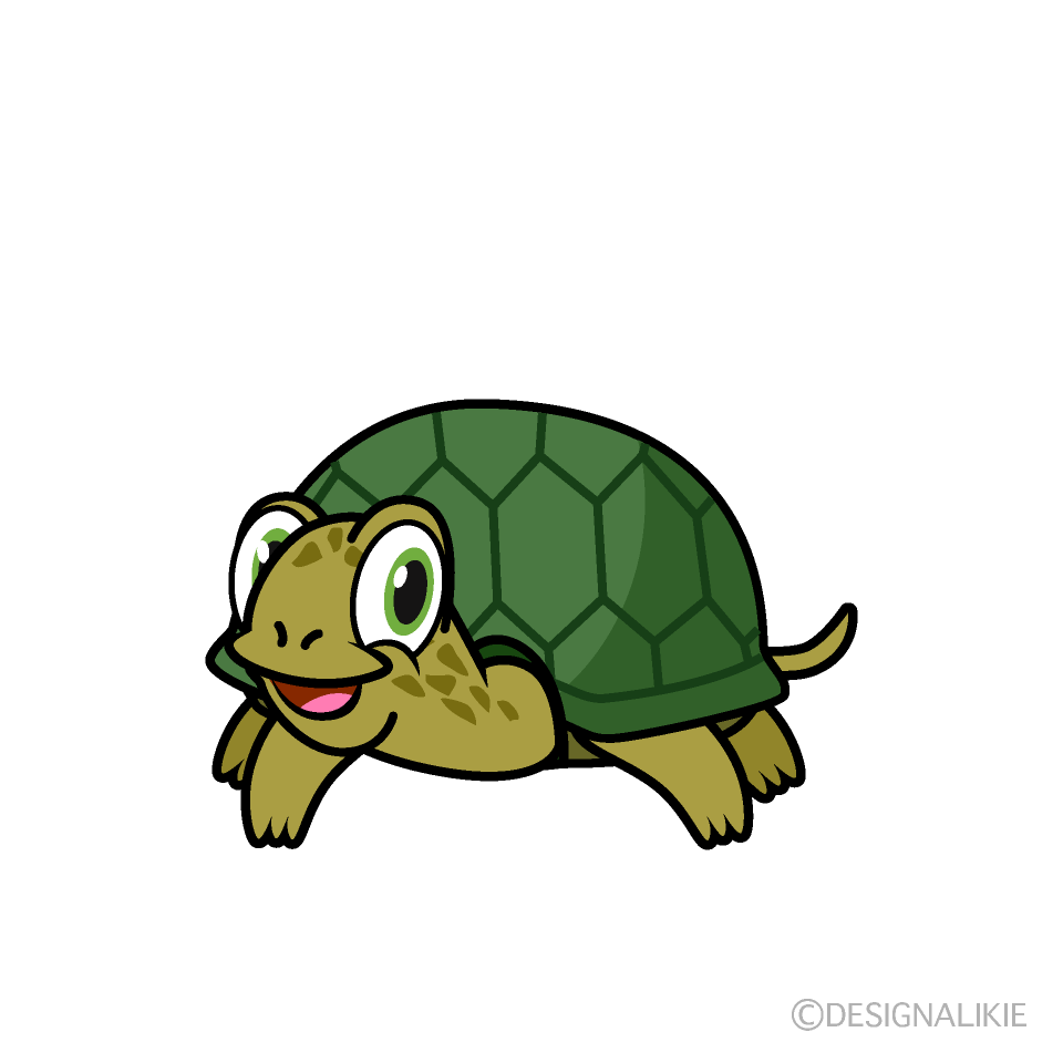 Smiling Turtle