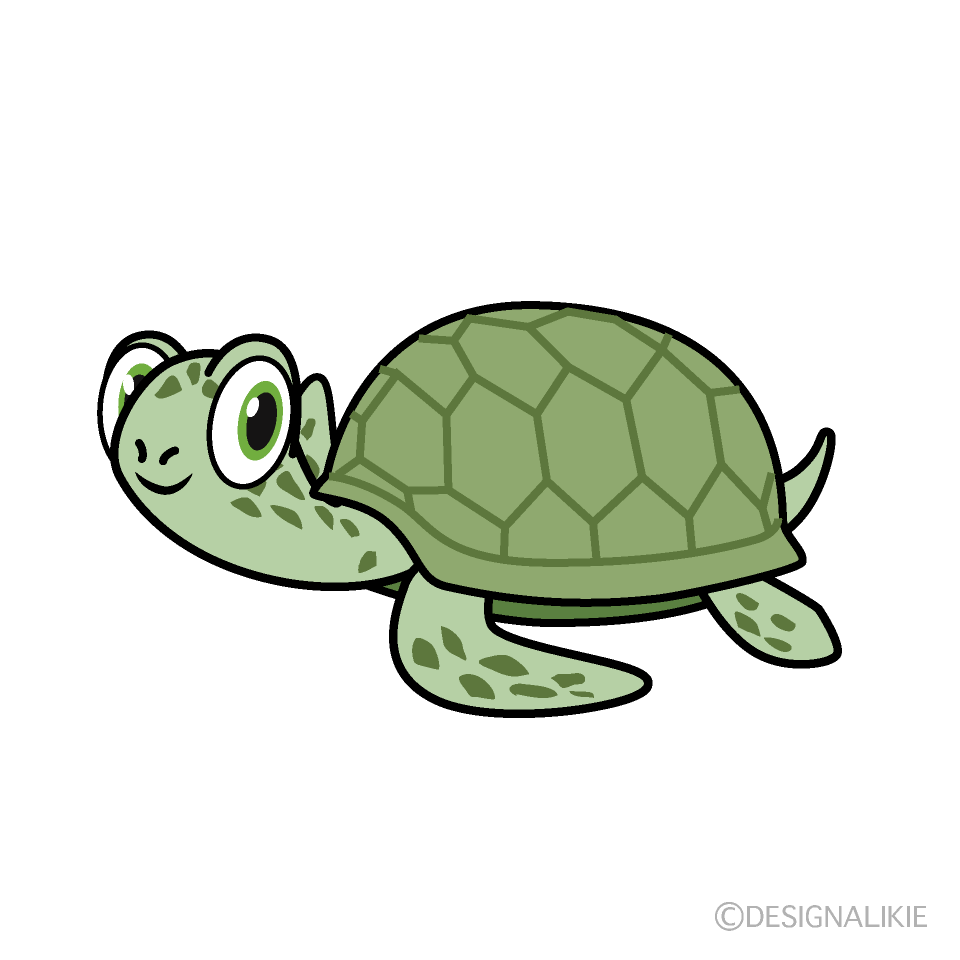 Green Sea Turtle