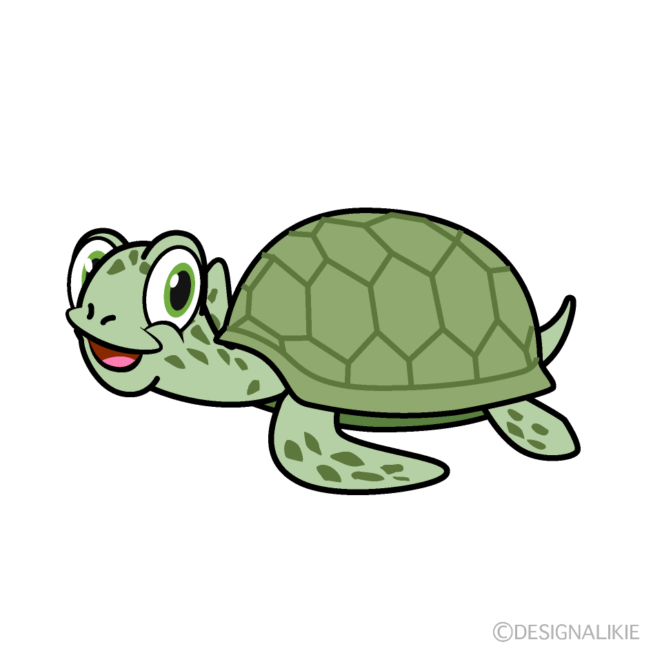 Tortuga Marina Verde Sonriente