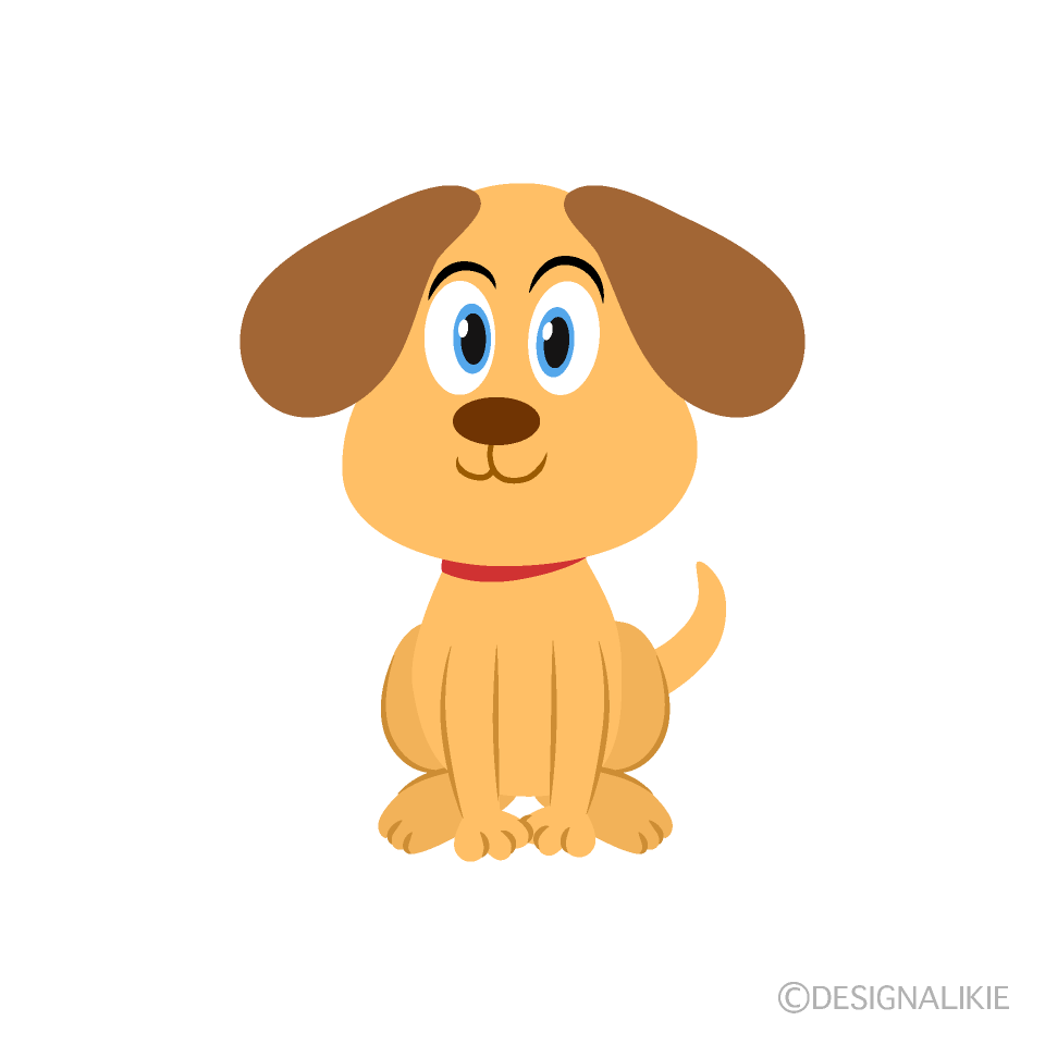 Cachorro Sentado Frontal
