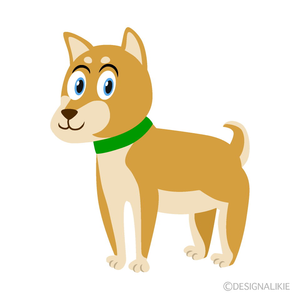 Shiba Dog
