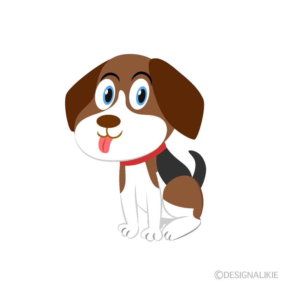 Beagle Dog