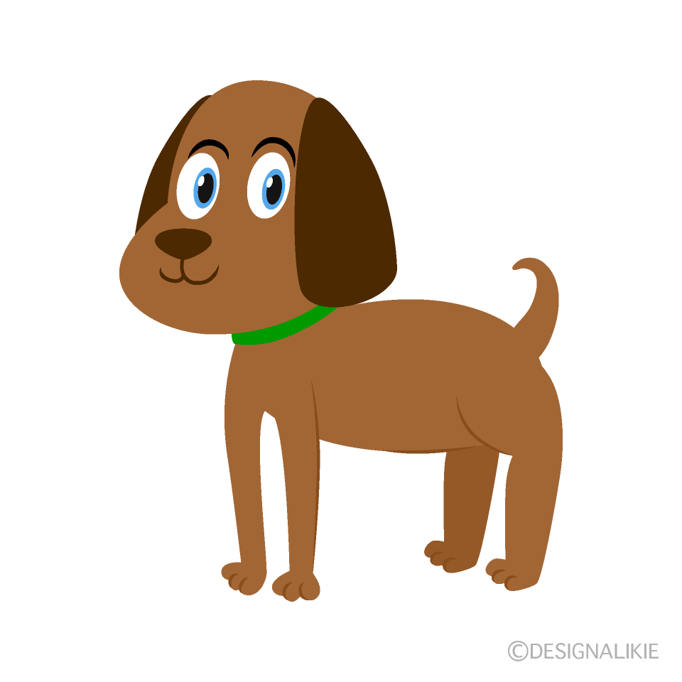 Perro