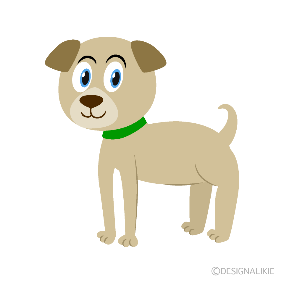 Perro