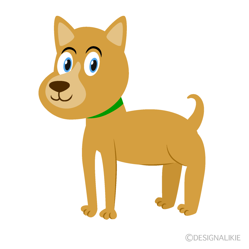 Perro Marrón