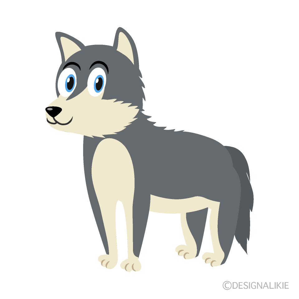 Siberian Husky