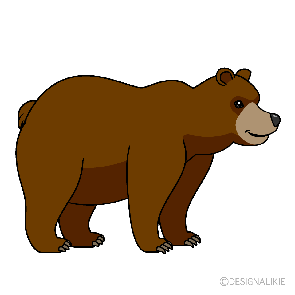 Oso de Lado