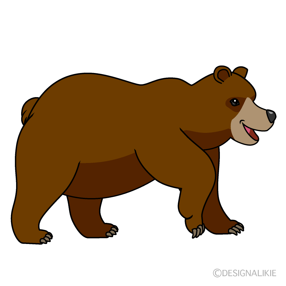 Oso Mirando