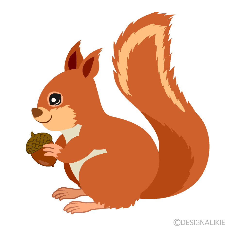 Squirrel with Acorn Side