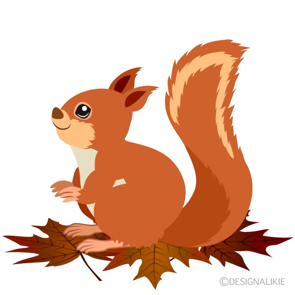 Squirrel on Fall Leaves