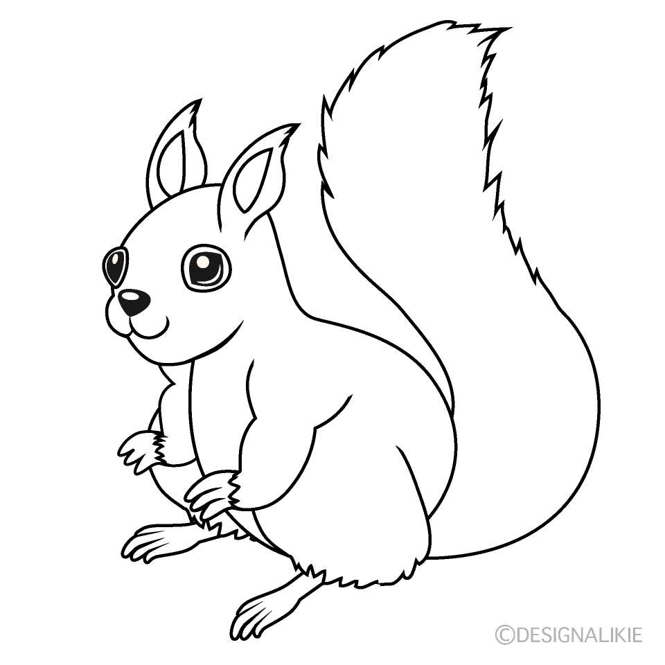 Squirrel