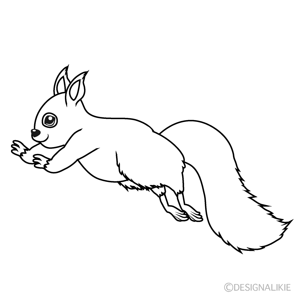 Jumping Squirrel