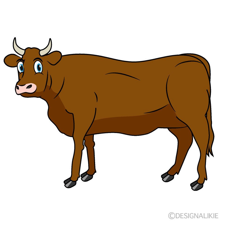 Looking Brown Cattle