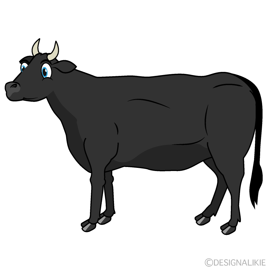 Black Cattle