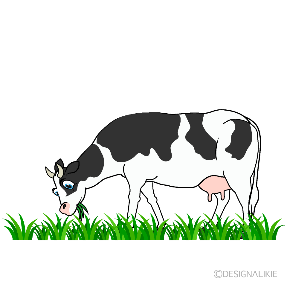 Eating Cow in Pasture