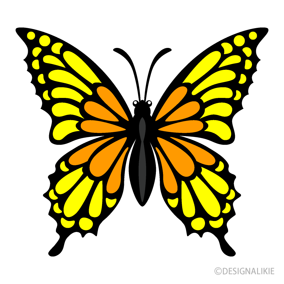 Mariposa Amarillo Naranja