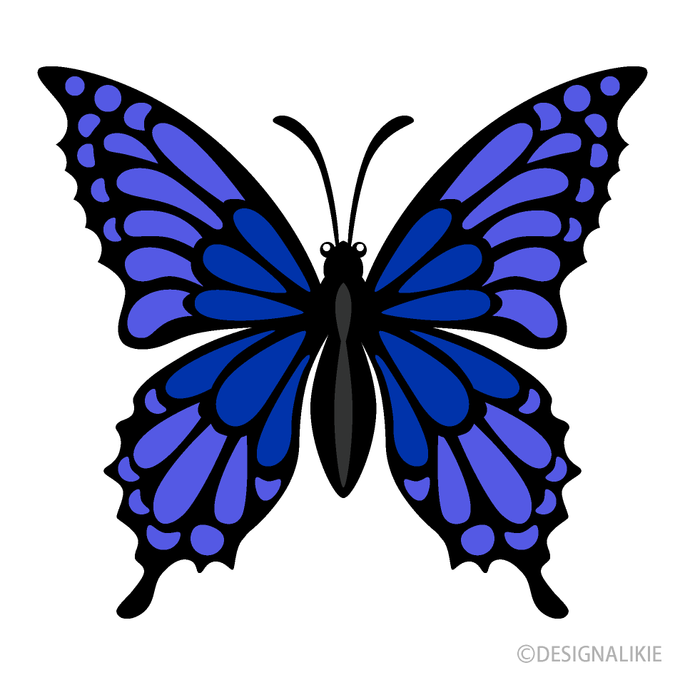Blue Navy Butterfly