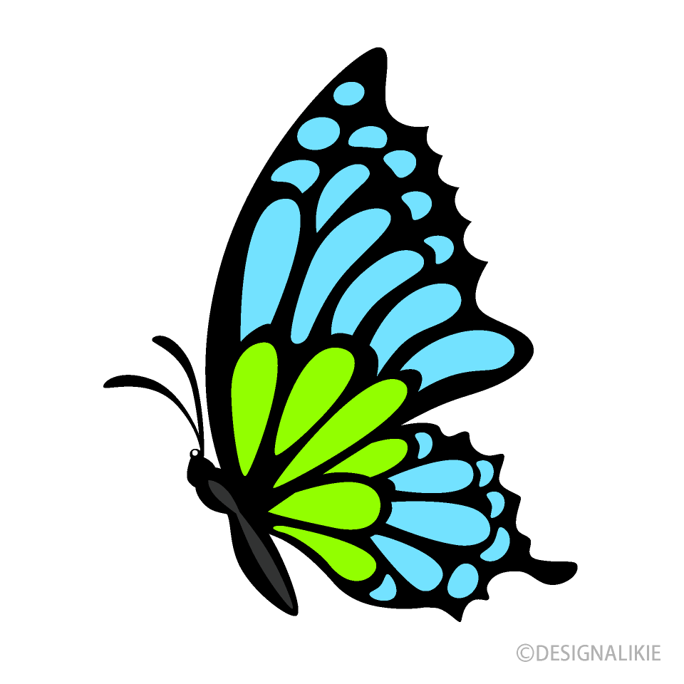 Blue Green Butterfly Side