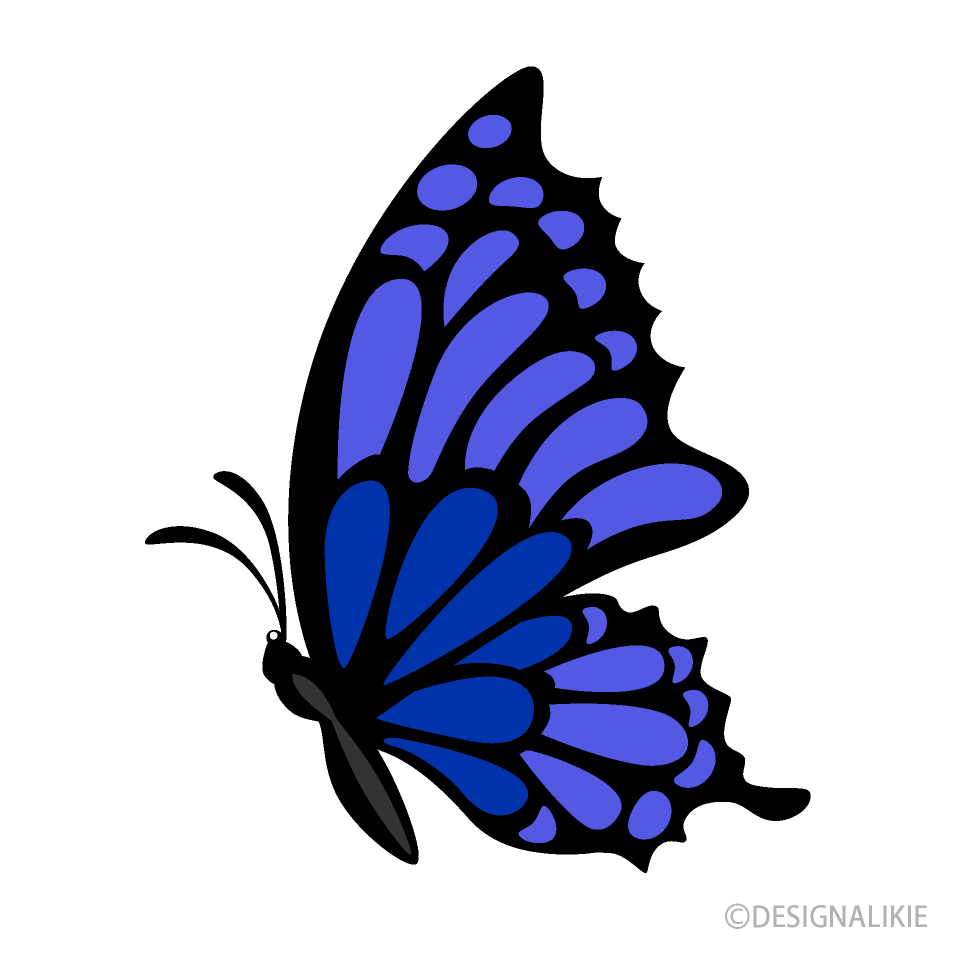 Blue Navy Butterfly Side